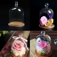 Wood Base Glass Display Cloche Bell Jar Dome Flower Immortal Preserve Vase Clear   401560266285